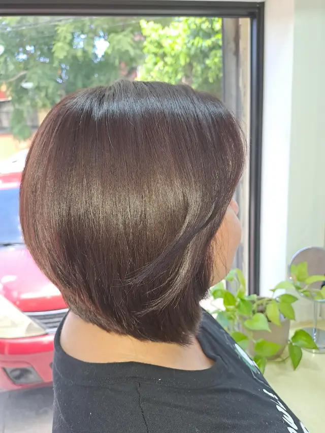 Cabello castaño lacio